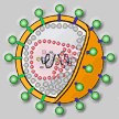 Modell eines HI-Virus